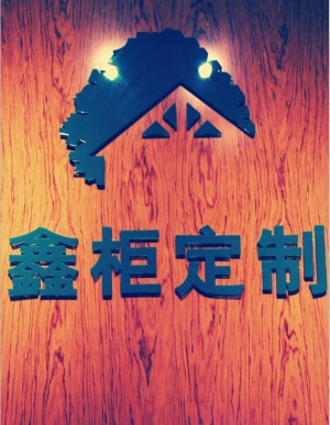 公司介绍