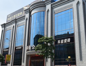 公司介绍