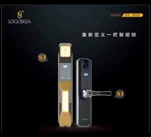 公司介绍