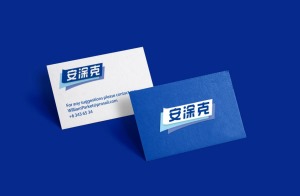 公司介绍